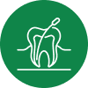 Root Canal Therapy